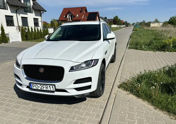 jaguar wielkopolskie Jaguar F-Pace cena 122000 przebieg: 154000, rok produkcji 2018 z Łaszczów